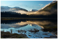 Misty Sunrise in the Great Bear Rainforest