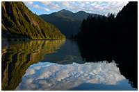 Reflections on Life in the Great Bear Rainforest