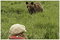 Watching Foraging Grizzlies from Inflatable Zodiac