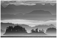 Misty Sunrise - Blackfish Sound