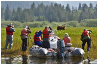 Photo captured on a Grizzlies of the Khutzeymateen Photo Tour