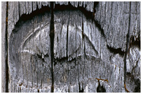 Face on a Mortuary Pole at the Village of Ninstints