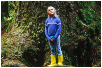 Huge Trees in the Forests of Gwaii Haanas - Impressive for Eyes of All Ages!
