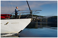 Explore the Beautiful BC Coast in Comfort and Style on the Ocean Light II